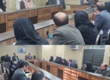 نشست معاون درمان دانشگاه علوم پزشکی لرستان با کارشناسان نظارت بر درمان شهرستان های استان  برگزار شد