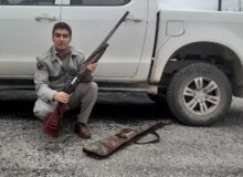 دستگیری شکارچیان غیرمجاز شش سر تشی(خارپشت) و خرگوش و کشف و ضبط یک قبضه اسلحه از آن‌ها در لرستان