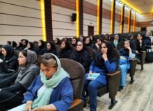 دومین دوره کلاس همسان سازی، رتبه بندی و تربیت مدرسین دوره های مربیگری عملی کاراته‌ در شیراز برگزار شد